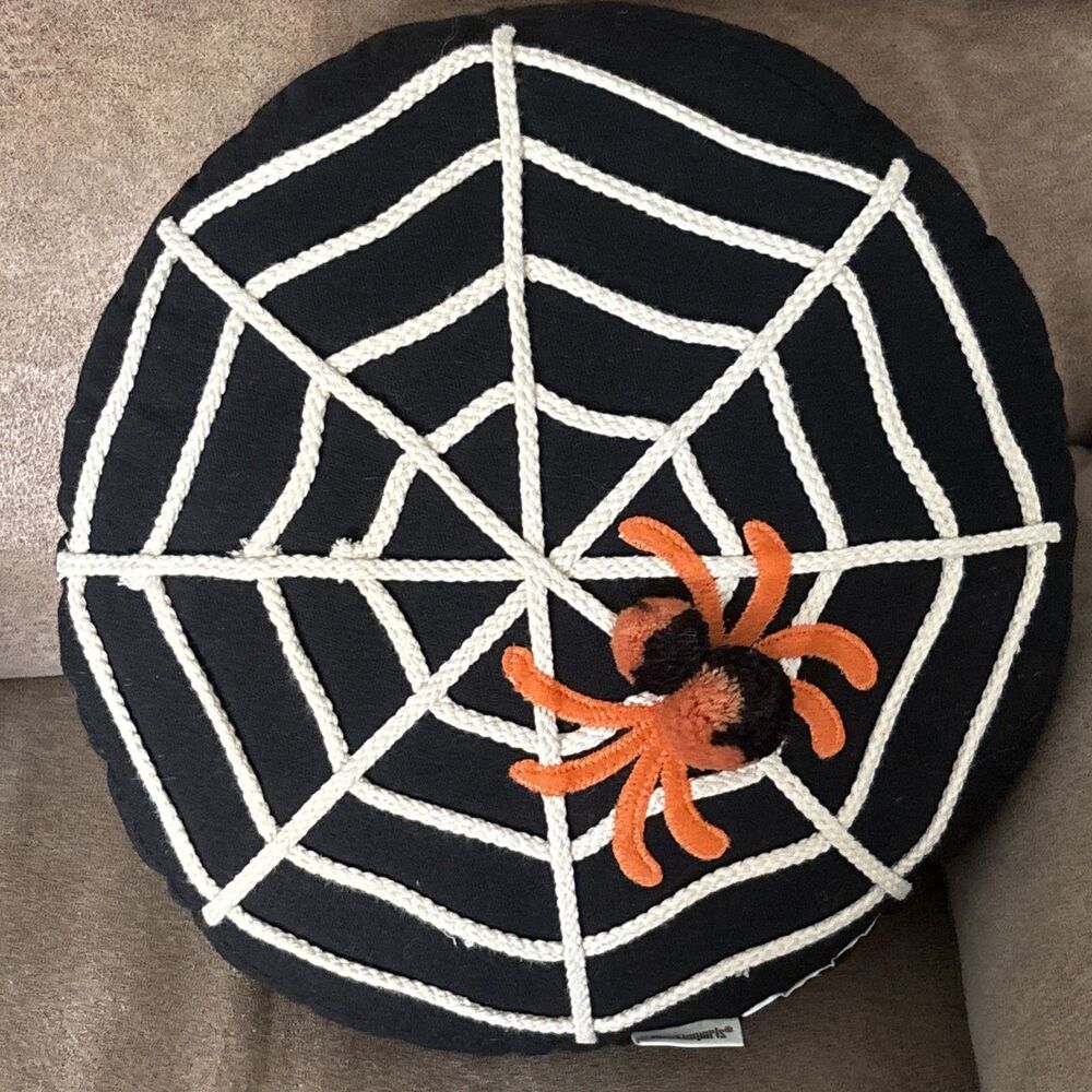 Pier 1 Spider & Web Round Pillow